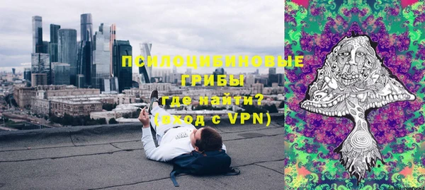 винт Нягань