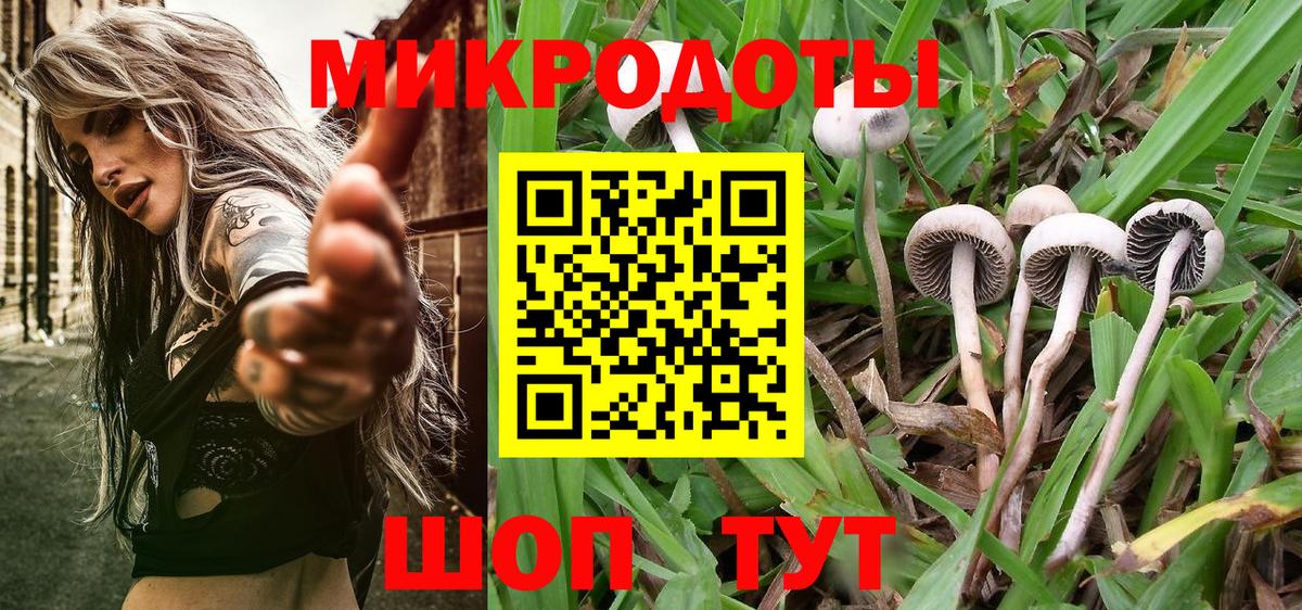 Галлюциногенные грибы Psilocybe Рузаевка