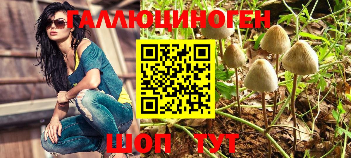 Галлюциногенные грибы Cubensis  Вход с VPN  Рузаевка 