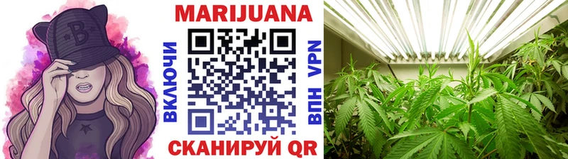 Канабис сатива  Рузаевка 